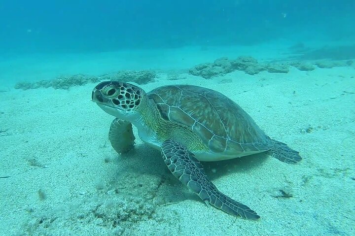 Discover SCUBA Diving with Pissouri Bay Divers