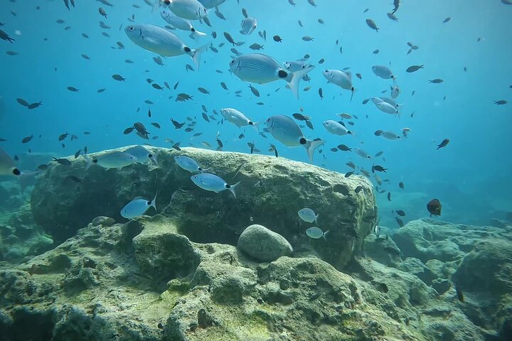 Discover SCUBA Diving with Pissouri Bay Divers