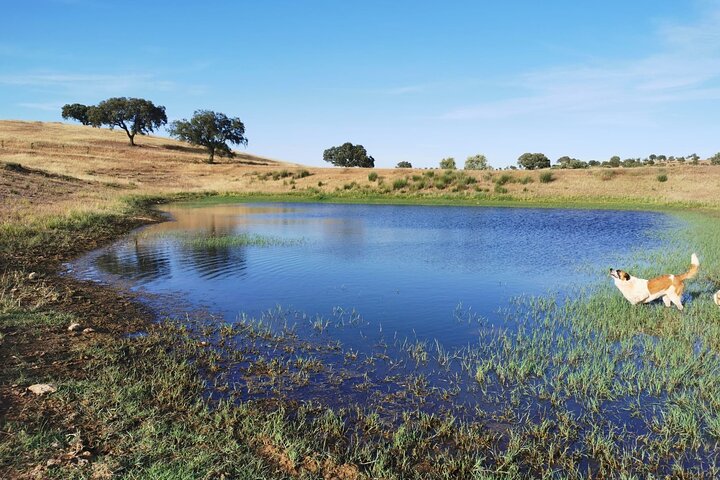 Mértola's Stunning Countryside Picnic