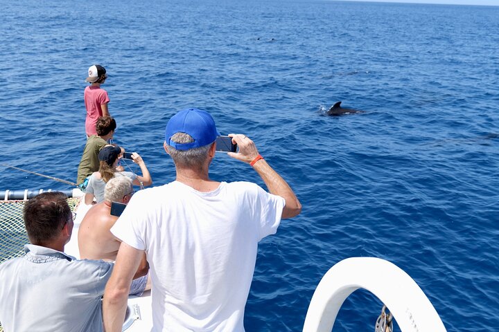Catamaran Half Day - Beautiful day on the Atlantic Ocean