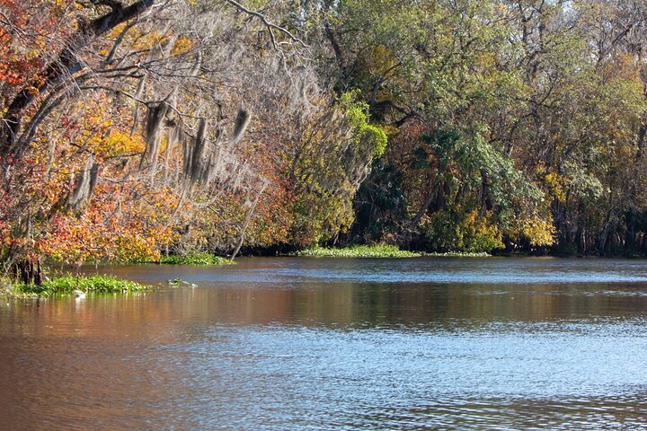 St. Johns River Cruise - Blue Spring State Park