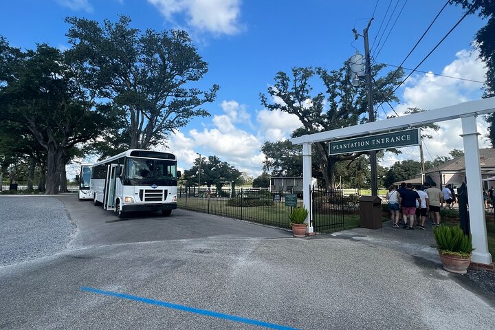 Swamp Boat Ride and Oak Alley Plantation Tour from New Orleans