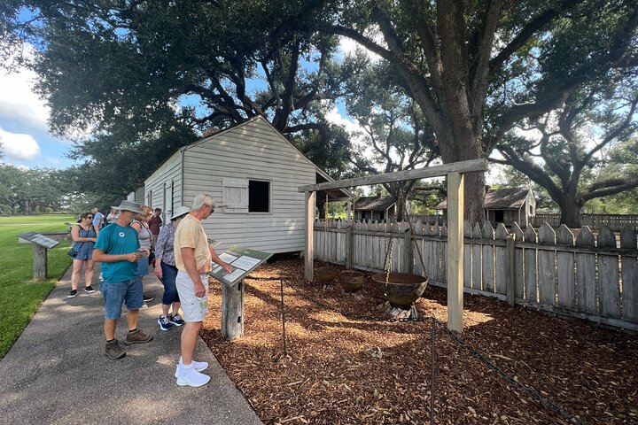 Swamp Boat Ride and Oak Alley Plantation Tour from New Orleans