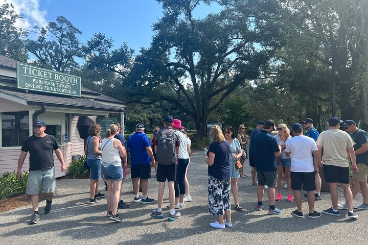 Swamp Boat Ride and Oak Alley Plantation Tour from New Orleans
