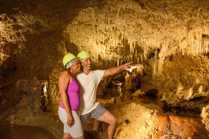 Harrison's Cave Tour & Monkey Zipline, Barbados