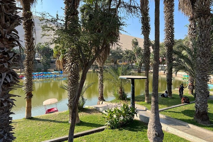 Paracas and Huacachina Exclusive Sunset Picnic Tour