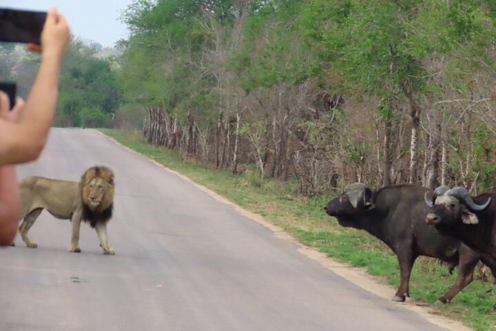 Kruger National Park - Private full day Safari trip.