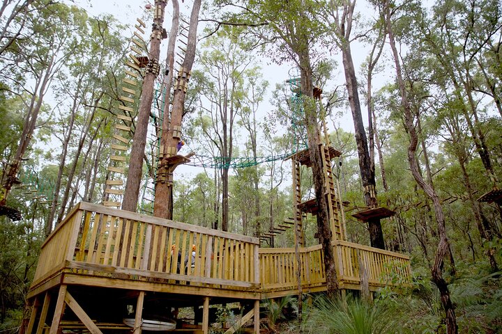 Lane Poole Park Dwellingup - Tree Ropes Course