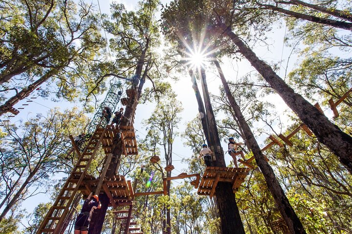 Lane Poole Park Dwellingup - Tree Ropes Course