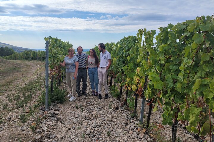 Full-Day Tokaj Wine & Cellar Tour from Kosice