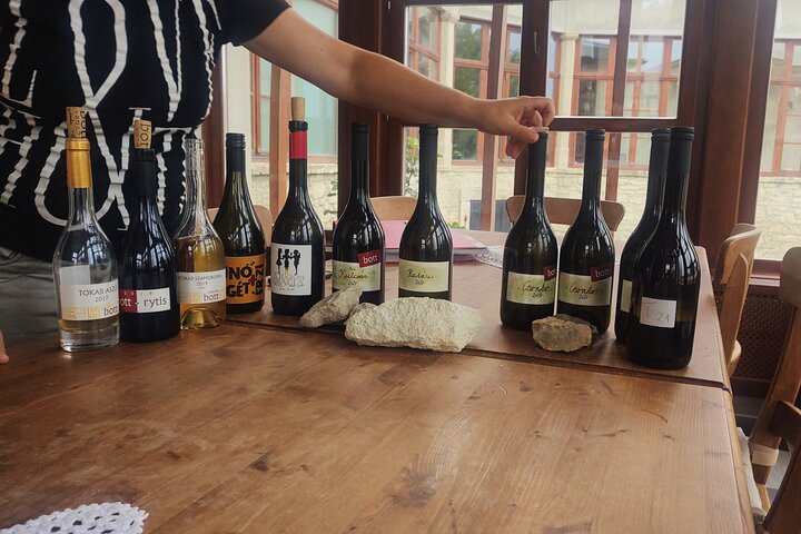 Full-Day Tokaj Wine & Cellar Tour from Kosice