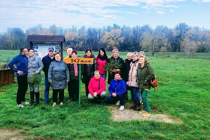 Full-Day Tokaj Wine & Cellar Tour from Kosice