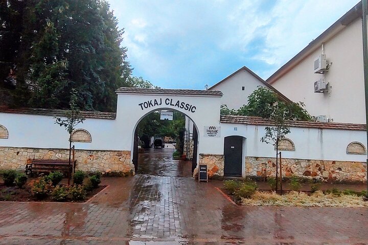 Full-Day Tokaj Wine & Cellar Tour from Kosice