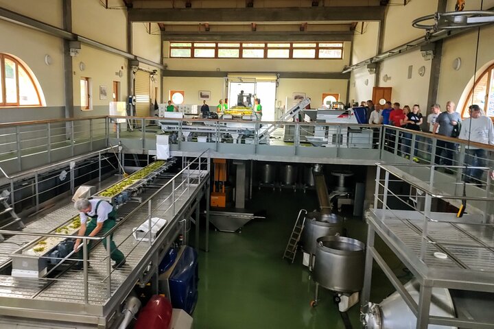 Full-Day Tokaj Wine & Cellar Tour from Kosice