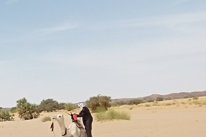 7 Days Excursion in the Desert North of Djanet