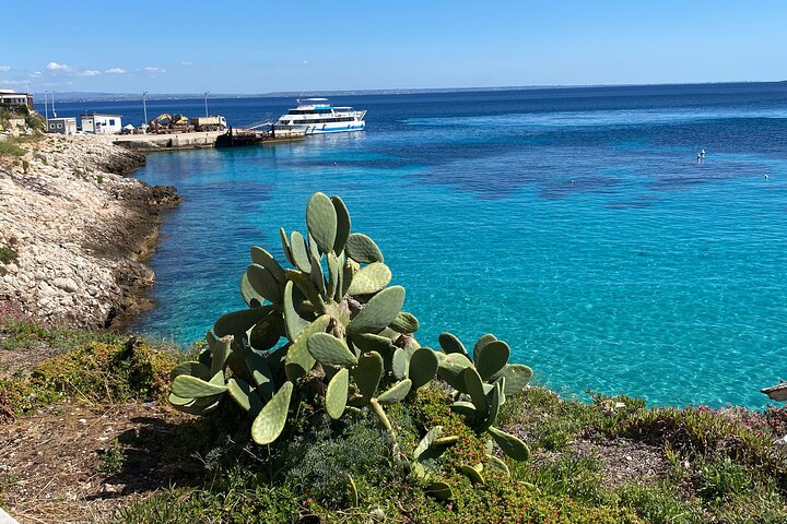 Mini Cruise to Favignana and Levanzo with lunch on board