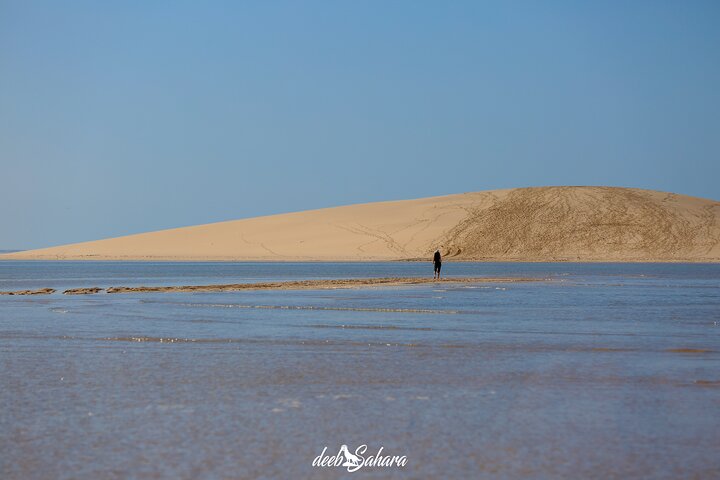 Desert Experience-FullTour-Excursion- White Dune/Puerto Rico/Imlili