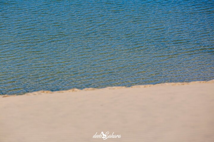 Desert Experience-FullTour-Excursion- White Dune/Puerto Rico/Imlili