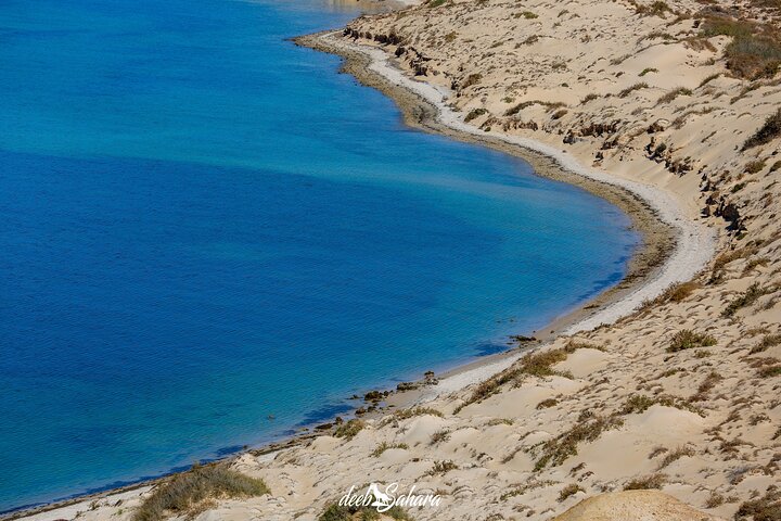 Desert Experience-FullTour-Excursion- White Dune/Puerto Rico/Imlili