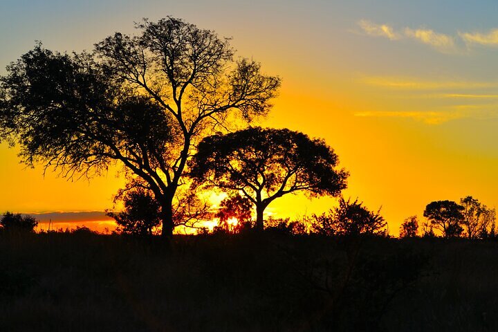 Full-Day Shared Kruger National Park Safari from Hoedspruit