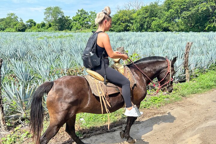 Horseback Riding: Tequila Tasting, BBQ & Margaritas