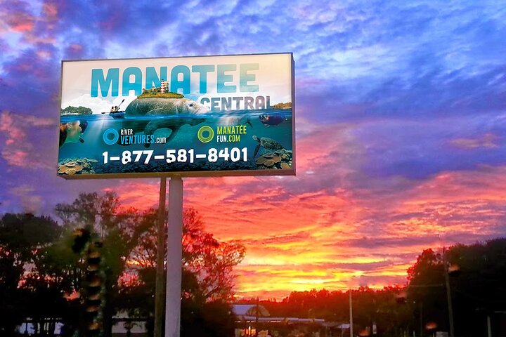 The 'OG' Manatee Snorkel Tour with In-Water Guide/Photographer