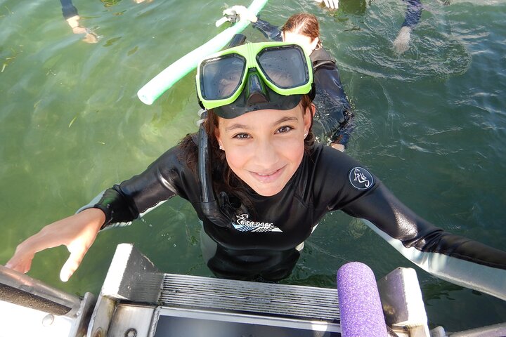The 'OG' Manatee Snorkel Tour with In-Water Guide/Photographer