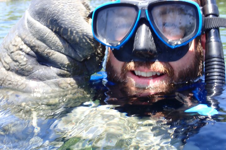 The 'OG' Manatee Snorkel Tour with In-Water Guide/Photographer
