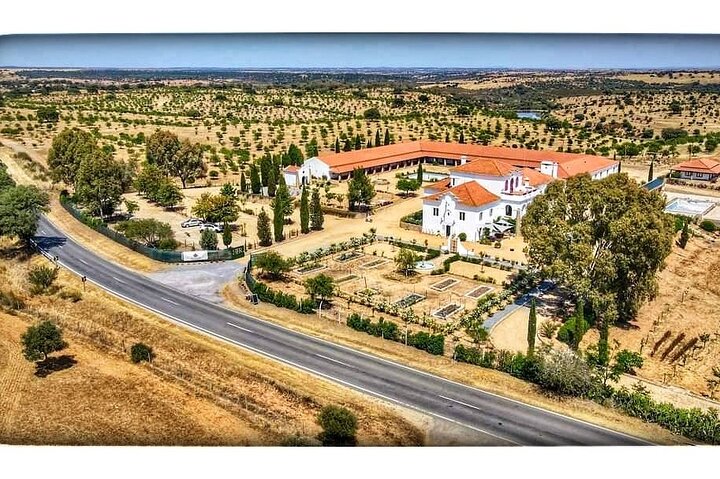Mértola's Stunning Countryside Picnic