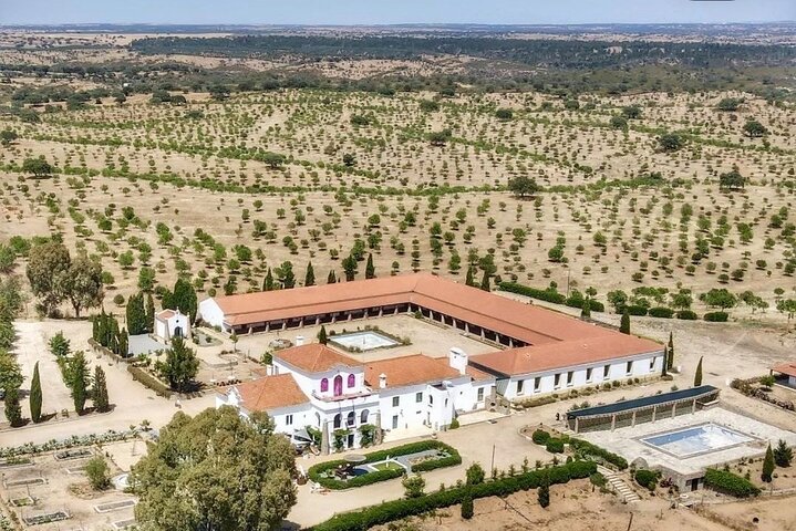 Mértola's Stunning Countryside Picnic