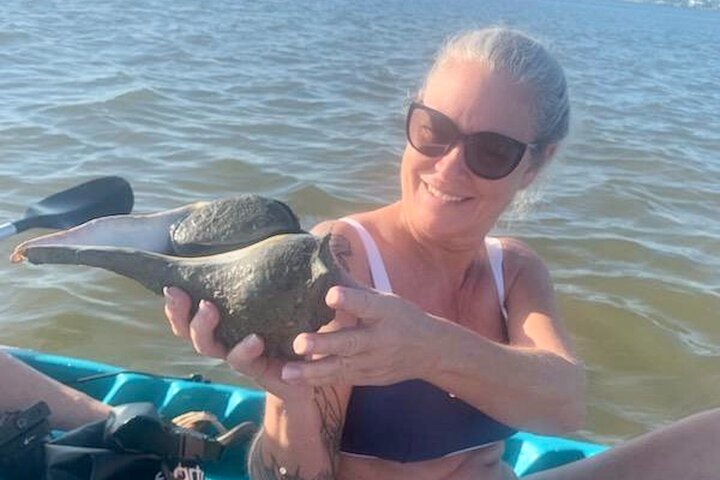Daytona Beach Dolphin & Manatee Kayak Wildlife Adventure