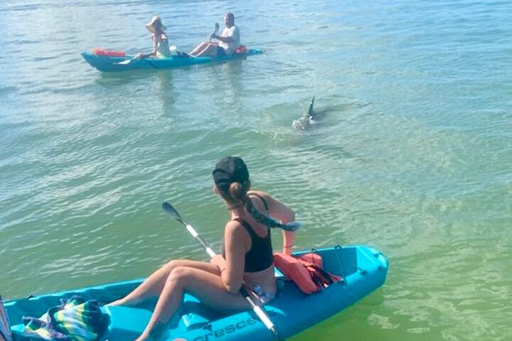 Daytona Beach Dolphin & Manatee Kayak Wildlife Adventure