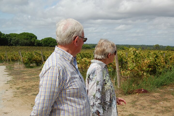 Lisbon Getaway: Private Arrábida Wine & Food Tour