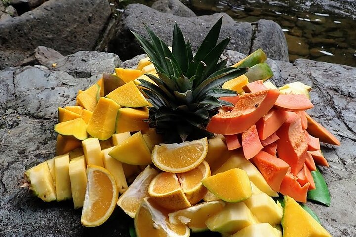 Two-in-One Day Trip: El Yunque and Bio Bay Tour with Transport