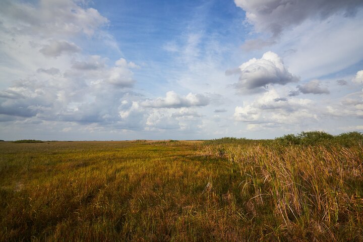 Flamingo Everglades Boat Tours