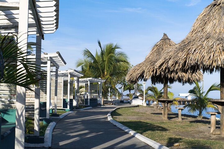 Private Shore Tour in La Ceiba from Banana Coast Cruise Port