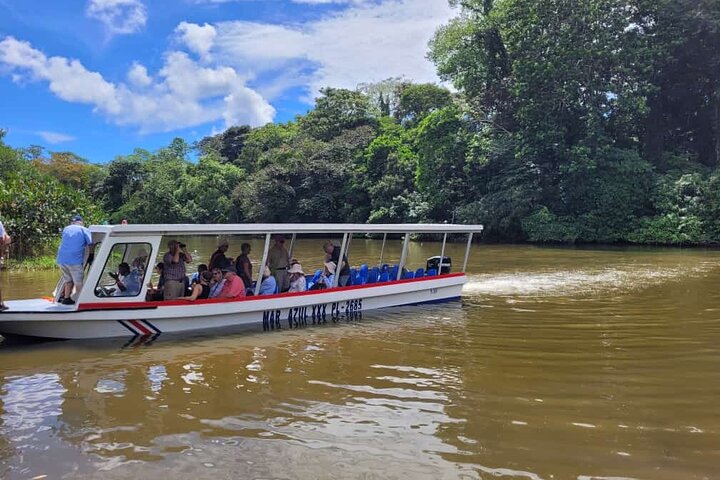 Limón Rainforest Hanging Bridges-Skywalk Tour & Tortuguero Canals