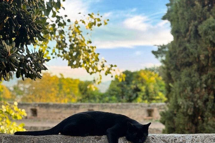 Private Tour With A Different Perspective of Alhambra