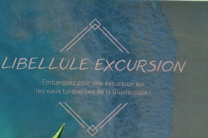 One-day boat trip to the lagoon of Guadeloupe