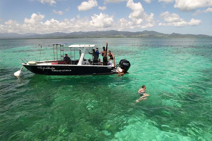 One-day boat trip to the lagoon of Guadeloupe