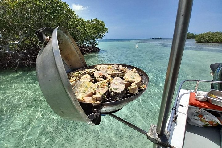 One-day boat trip to the lagoon of Guadeloupe