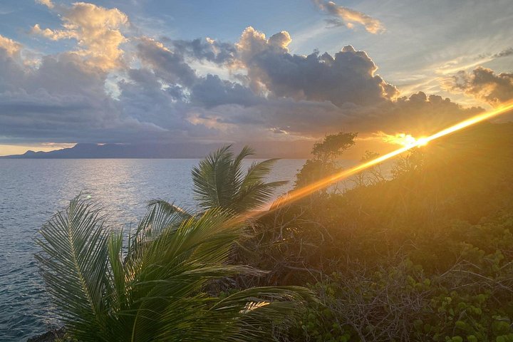 One-day boat trip to the lagoon of Guadeloupe