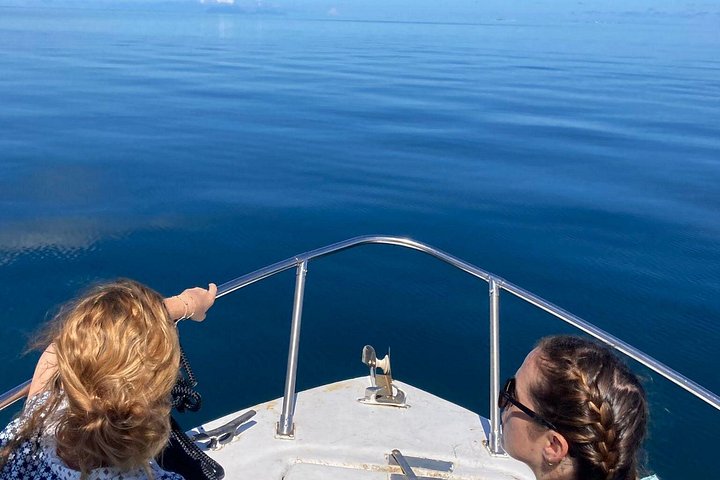 One-day boat trip to the lagoon of Guadeloupe