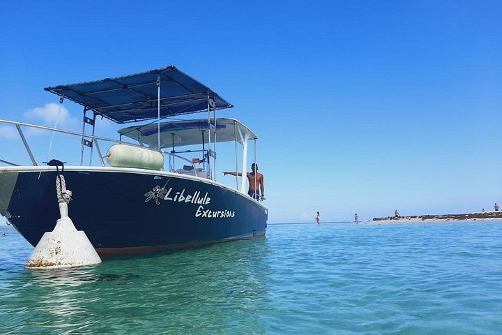 One-day boat trip to the lagoon of Guadeloupe