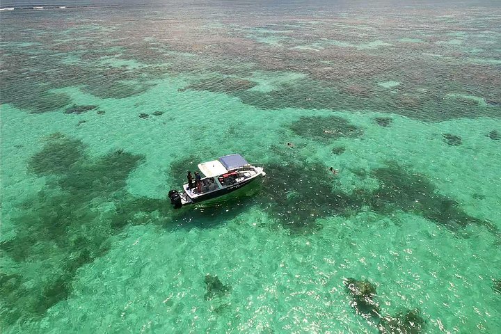 One-day boat trip to the lagoon of Guadeloupe