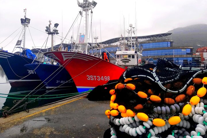 Tour of the Port and Lonja de Santoña and Anchovy Museum