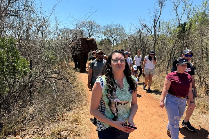 Elephant Sanctuary Tour from Johannesburg
