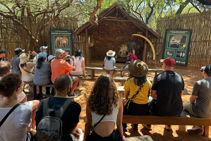 Elephant Sanctuary Tour from Johannesburg