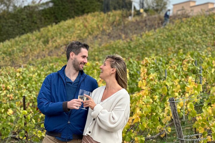 Discover The Cellars in The Heart of The Countryside in Champagne