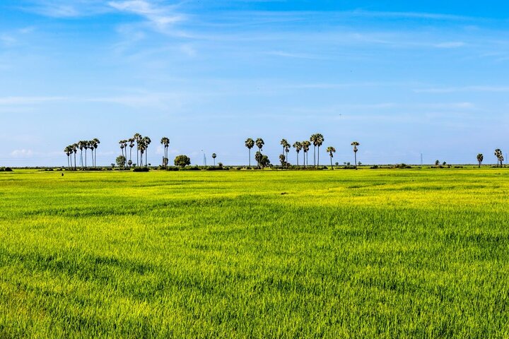 The Journey Phnom Penh to/from Siem Reap: A Memorable Tour